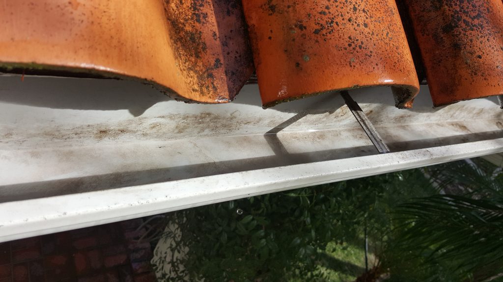 Gutter cleaning service near me