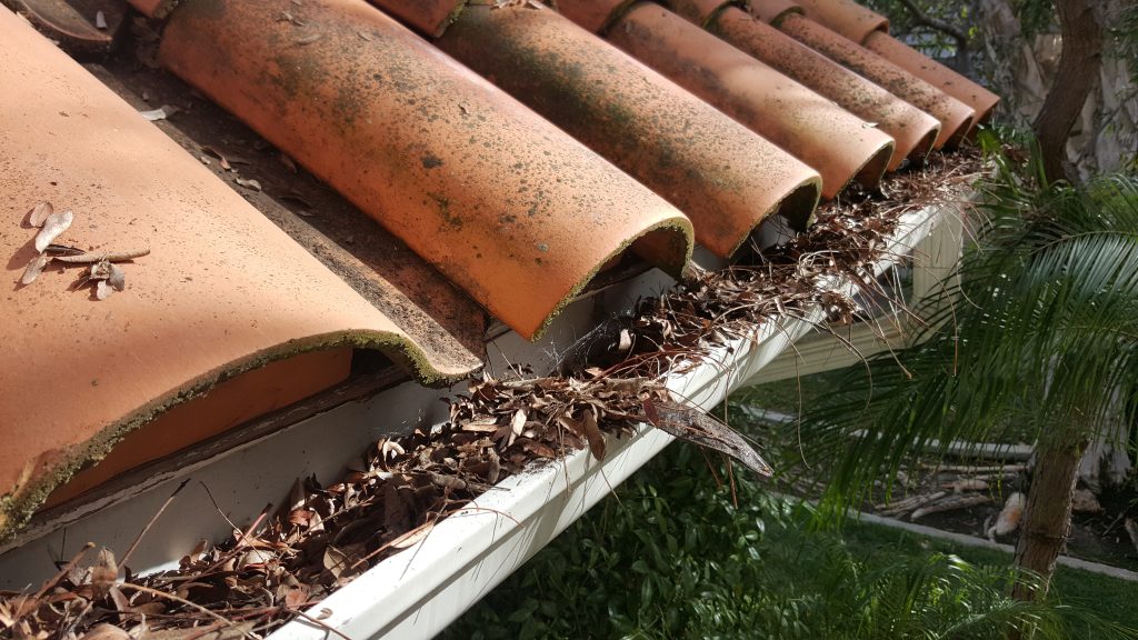 Gutter cleaning solutions near me 